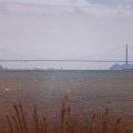 ggb1