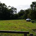 IMGP0239